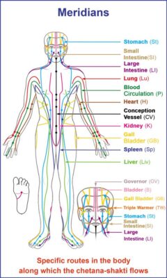 body meridian