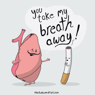 no smoking