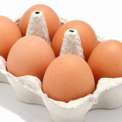salmonela