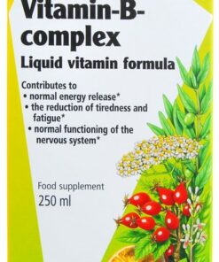 Floradix Vitamin B  Complex  250ml